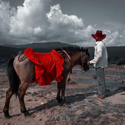 Photo #5957732