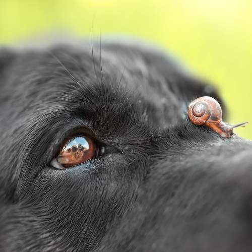 Фотография #5958016