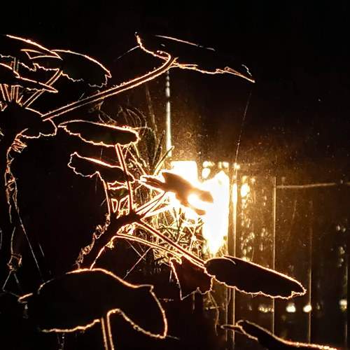 Photo #5958425