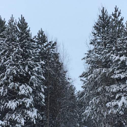Photo #5958694