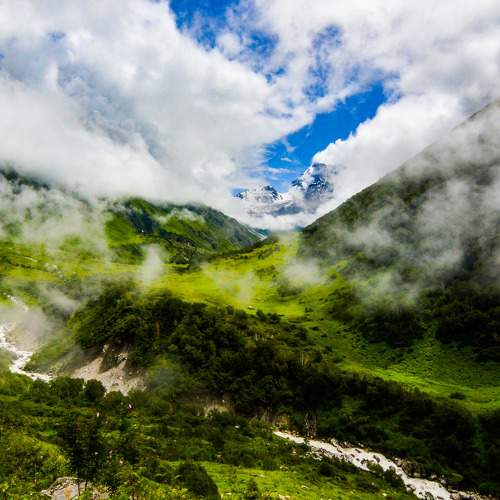 Valley of Flowers