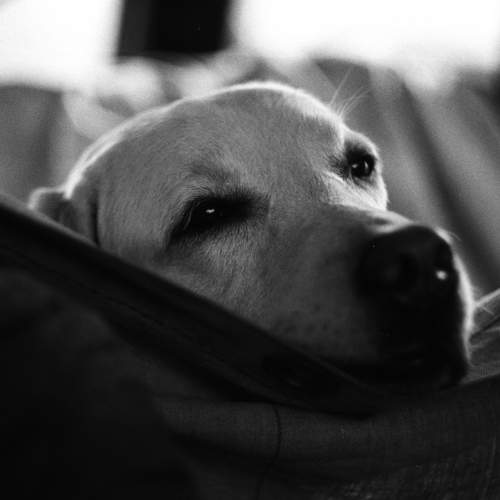 Photo #5959007