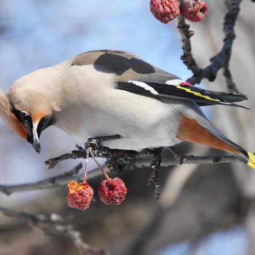 Photo #5959199
