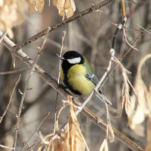 Photo #5959201