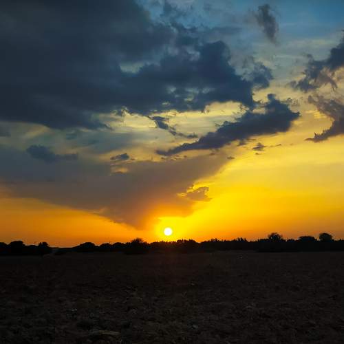 Photo #5959302