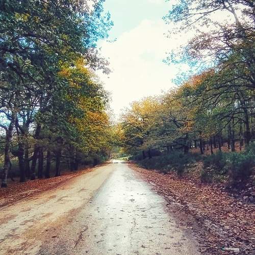 Photo #5959308
