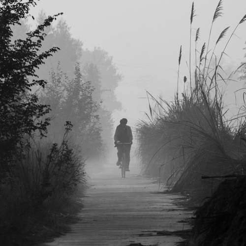 Photo #5959724
