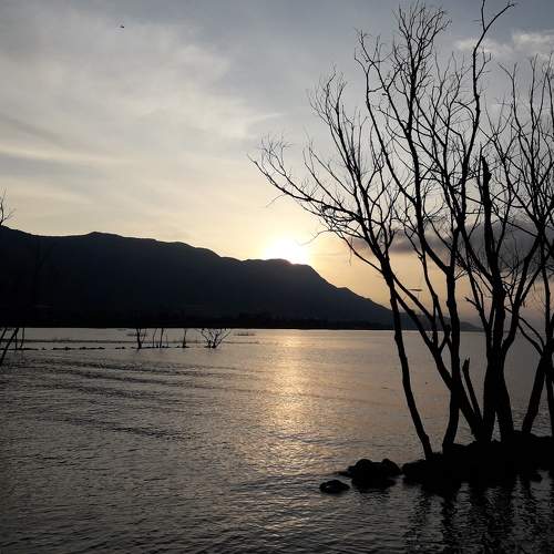 Photo #5959736