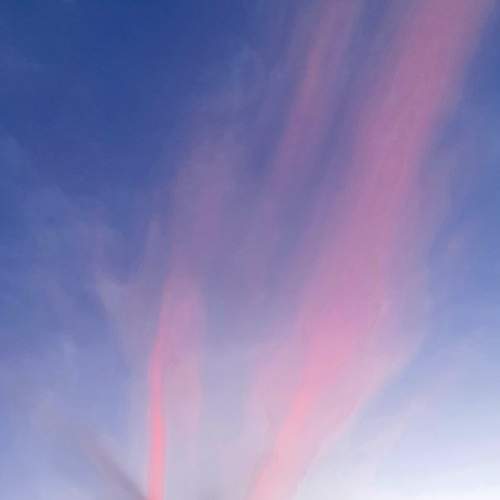 Photo #5959874
