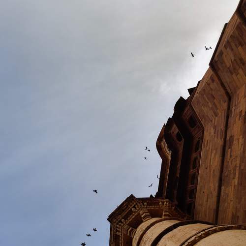 Photo #5959967