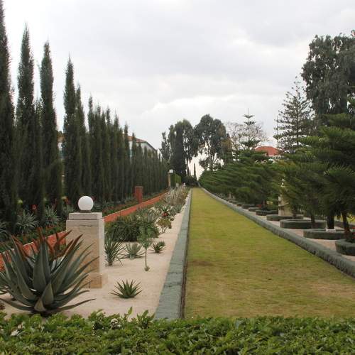 Photo #5960546