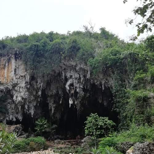 Maria Cave