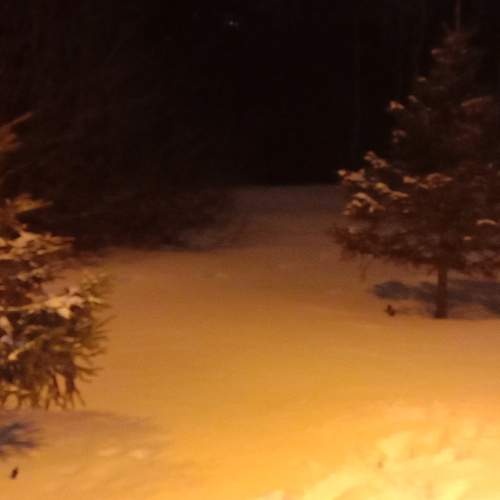 Photo #5960977