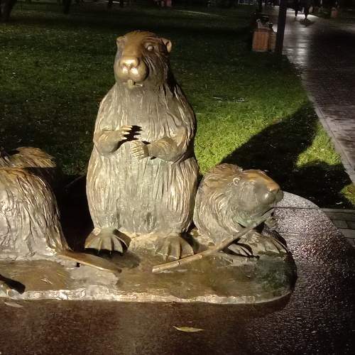 Photo #5960986