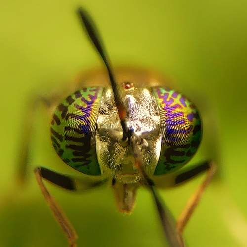 Photo #5961509