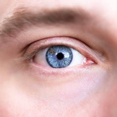 Photo #5961655