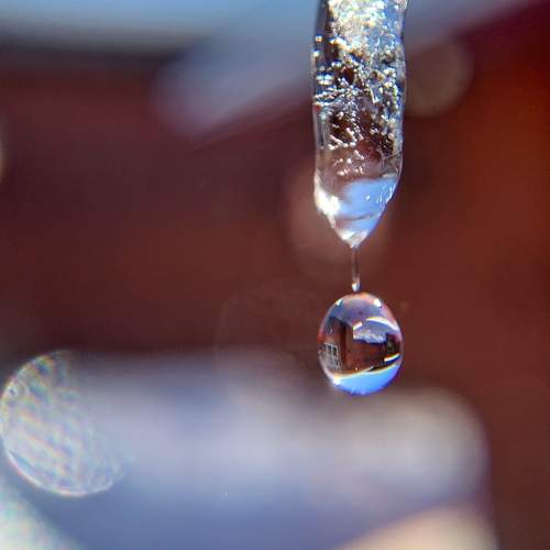 Photo #5961795