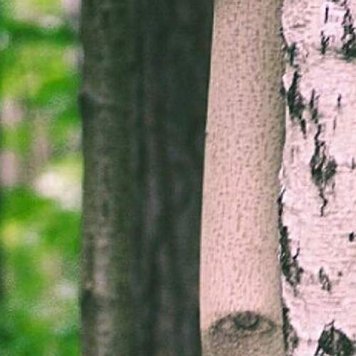 Photo #5961980