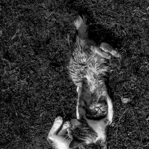 Play time