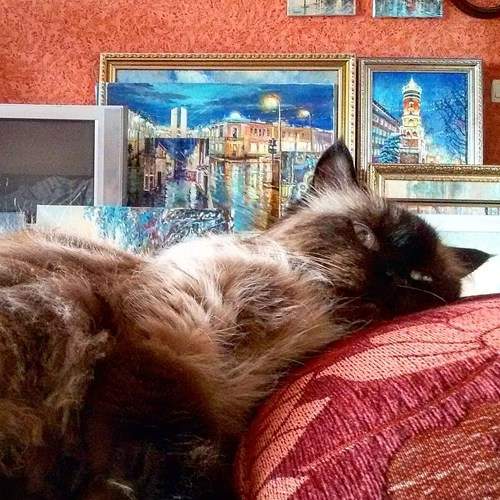 Photo #5962421