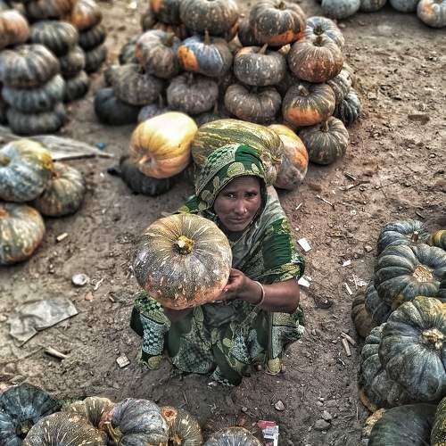The gaze of Pumpkin seller.