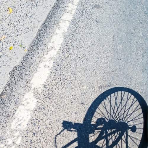 Photo #5962643