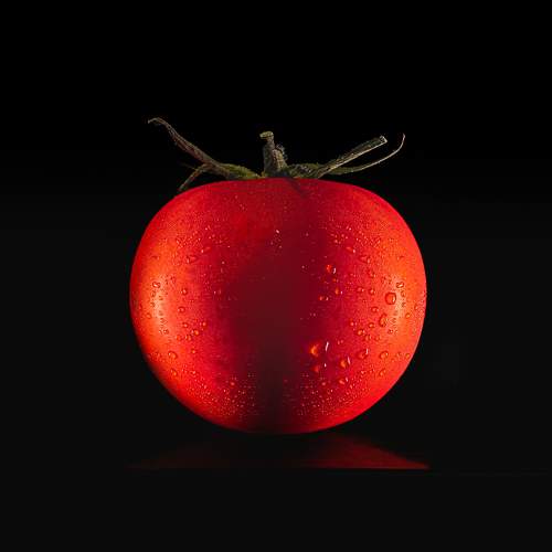 Photo #5962703
