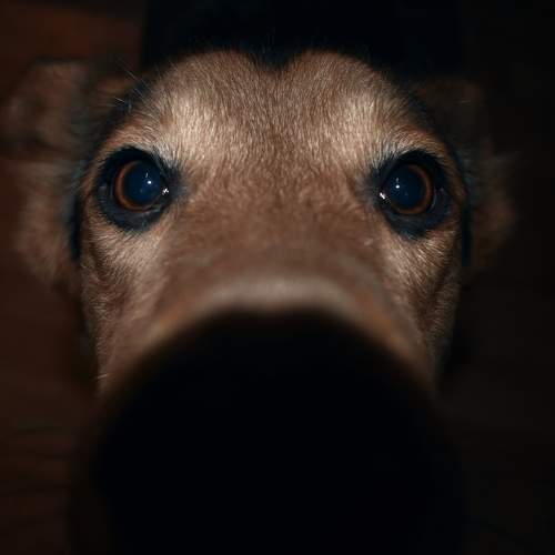 Photo #5962800