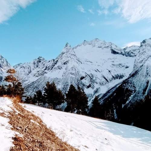 Photo #5963078