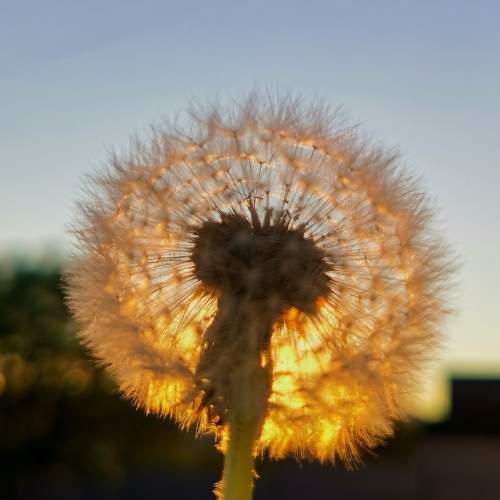 Photo #5963315