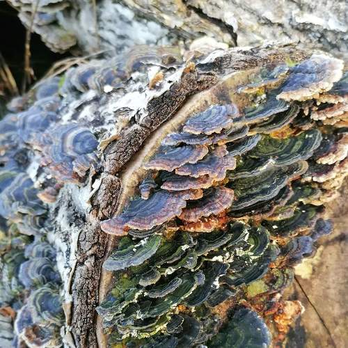 Photo #5963924