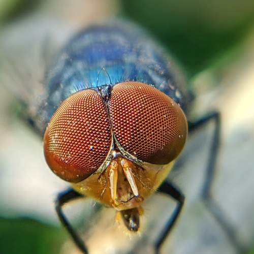 Photo #5963952