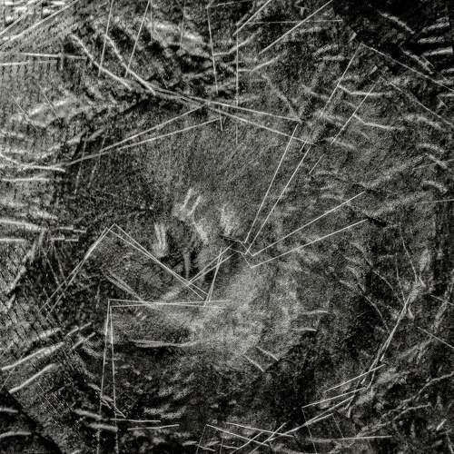 Photo #5964088