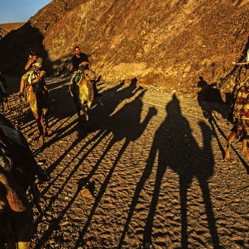 Photo #5964334