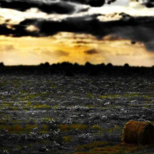Photo #5964615