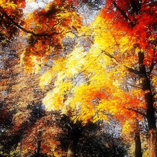 Photo #5964621
