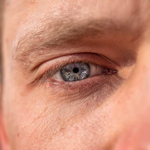 Photo #5964774
