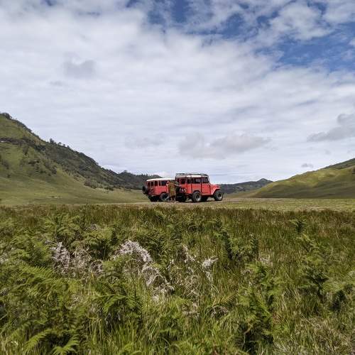 Photo #5964926