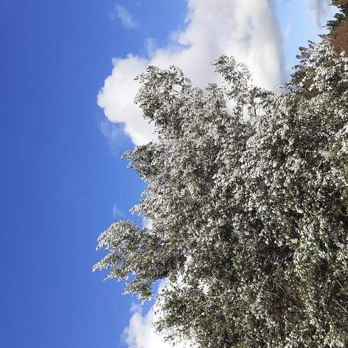 Photo #5964933