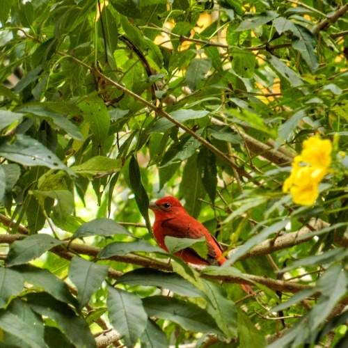 Photo #5965045
