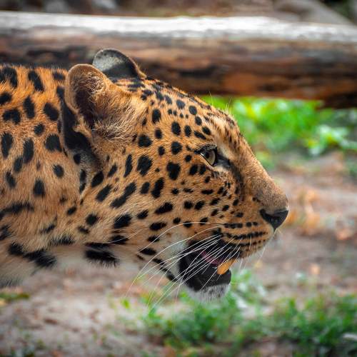 Photo #5965181