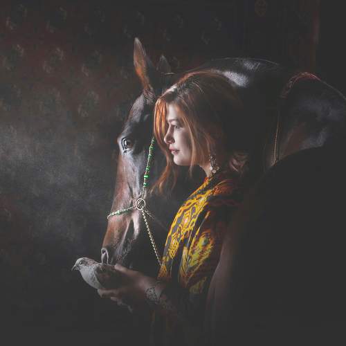 Фотография #5965259