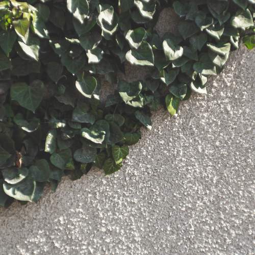 Photo #5965304