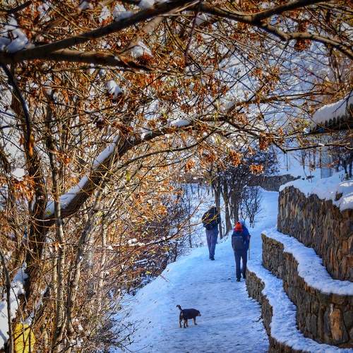 Photo #5965439