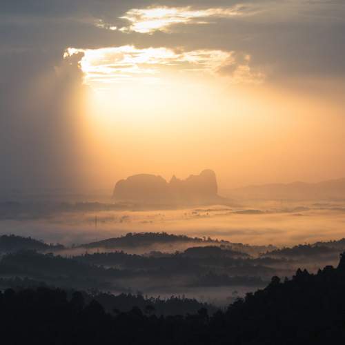 Photo #5965456