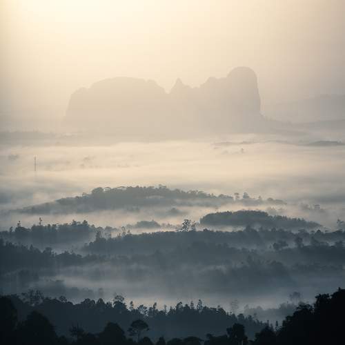 Photo #5965457