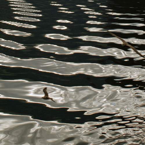Photo #5965644