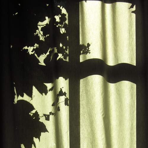 Photo #5965704