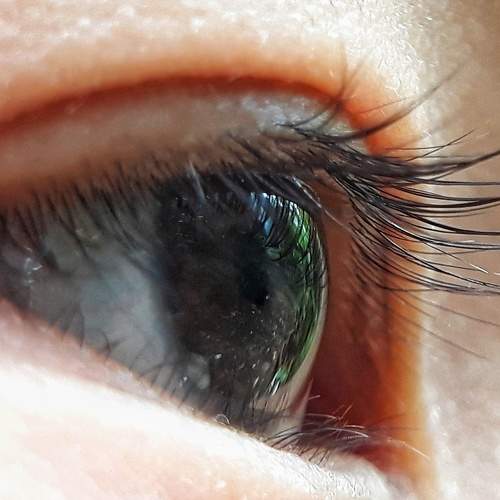 Photo #5966533