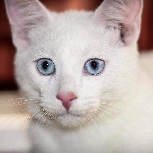 Photo #5966560